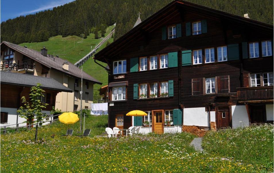 Chalet Bim Chilchli Mürren Extérieur photo