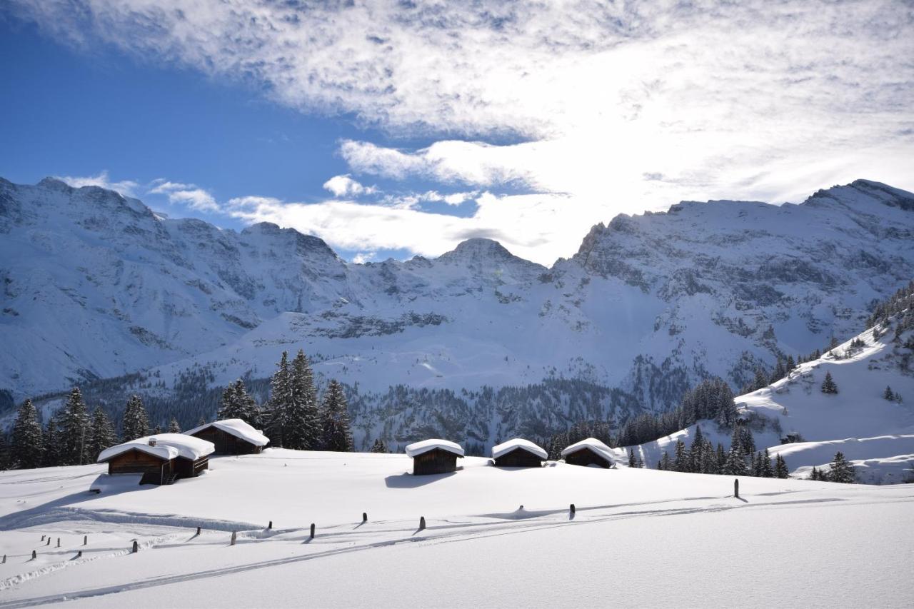 Chalet Bim Chilchli Mürren Extérieur photo